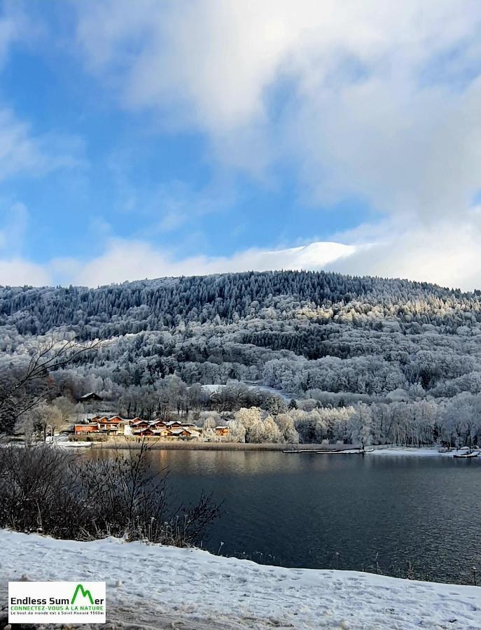Studio 05 Saint Honore 1500, Vue Montagne Et Lac, 2 Personnes, Serie Anthracite Netflix Exterior photo